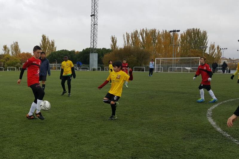 F7 Ale vs Dragones